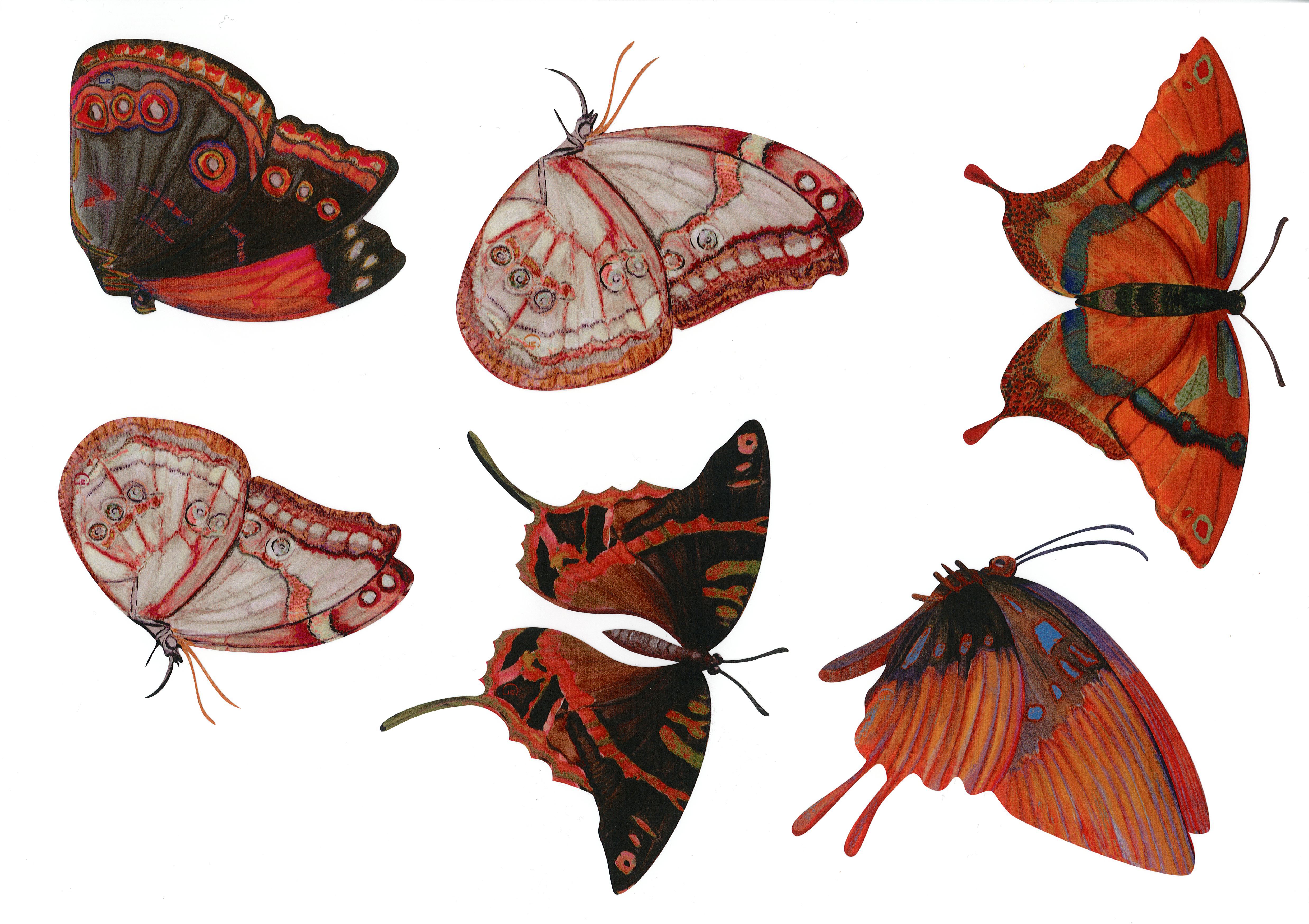 6 papillons N°1 oranges