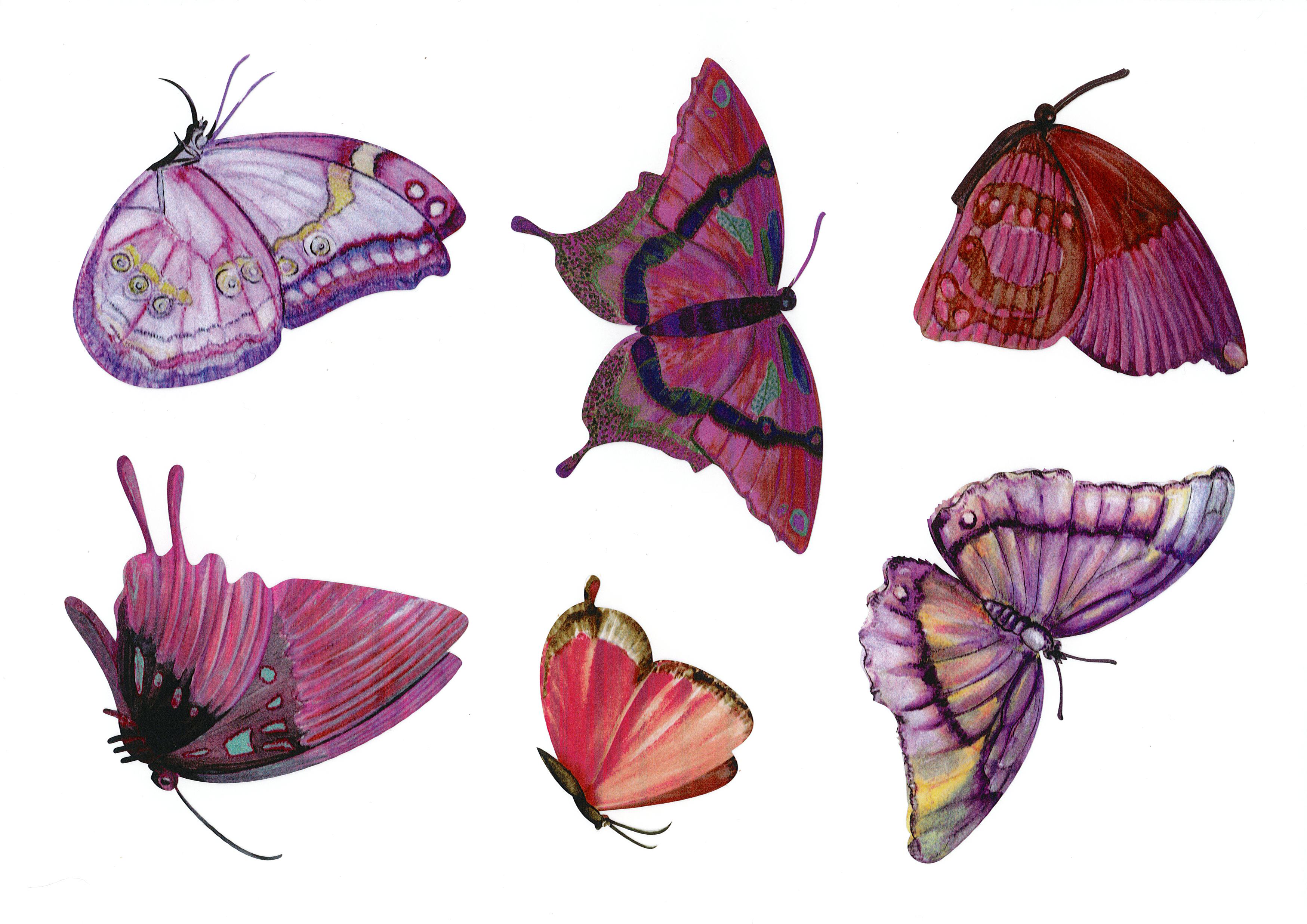 6 Papillons Roses